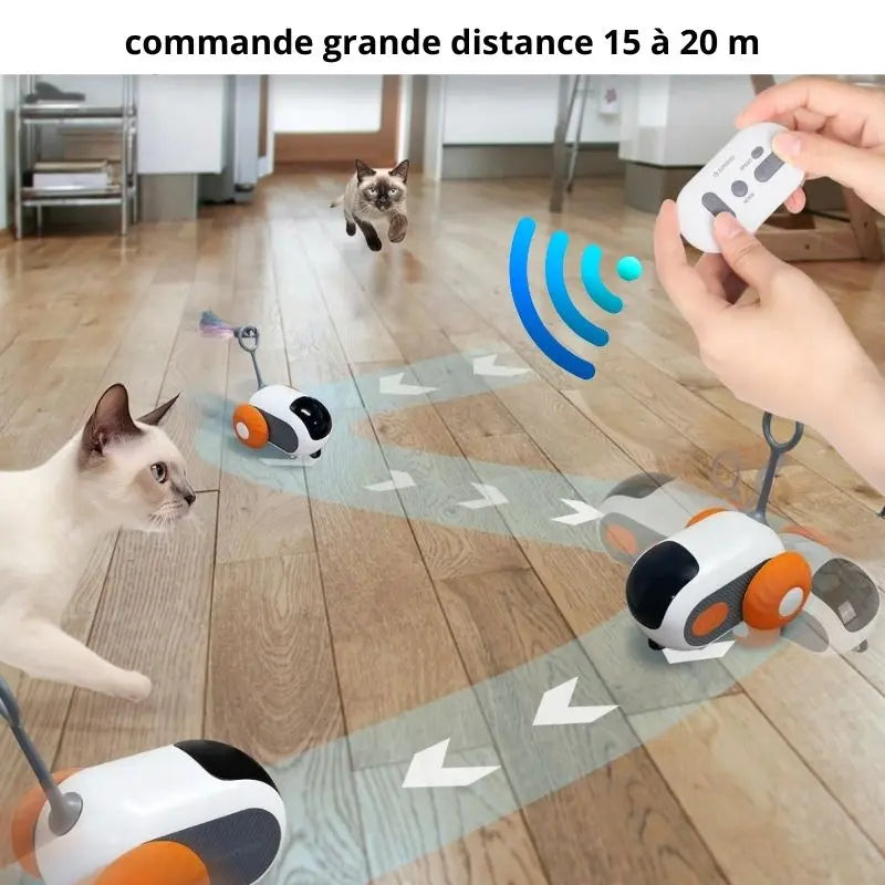 CATSANDOGS™- JOUET INTERACTIF TELECOMMANDE POUR CHATS CATSANDOGS