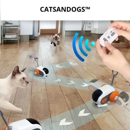 CATSANDOGS™- JOUET INTERACTIF TELECOMMANDE POUR CHATS CATSANDOGS